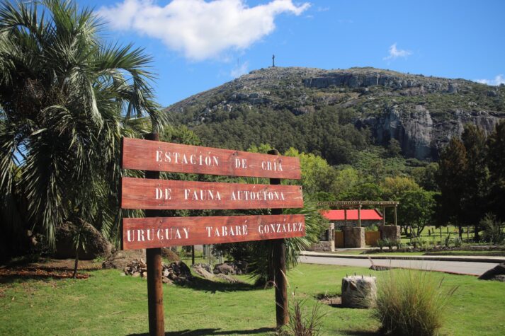 Mujer falleció en reserva de Pan de Azúcar al caerle un árbol Mujer falleció en reserva de Pan de Azúcar al caerle un árbol