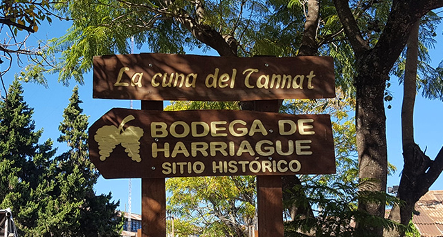 Salto celebra la Semana de Harriague con una nutrida agenda de actividades Salto celebra la Semana de Harriague con una nutrida agenda de actividades