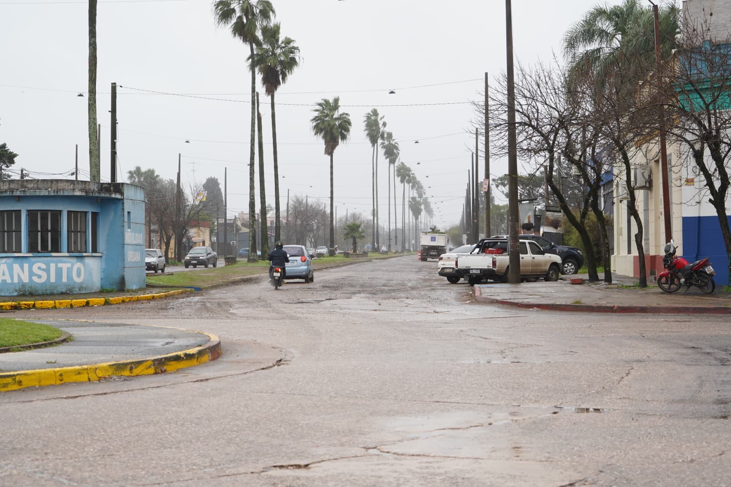 Corte de tránsito en avenida Rodó este jueves 20 de agosto Corte de tránsito en avenida Rodó este jueves 20 de agosto