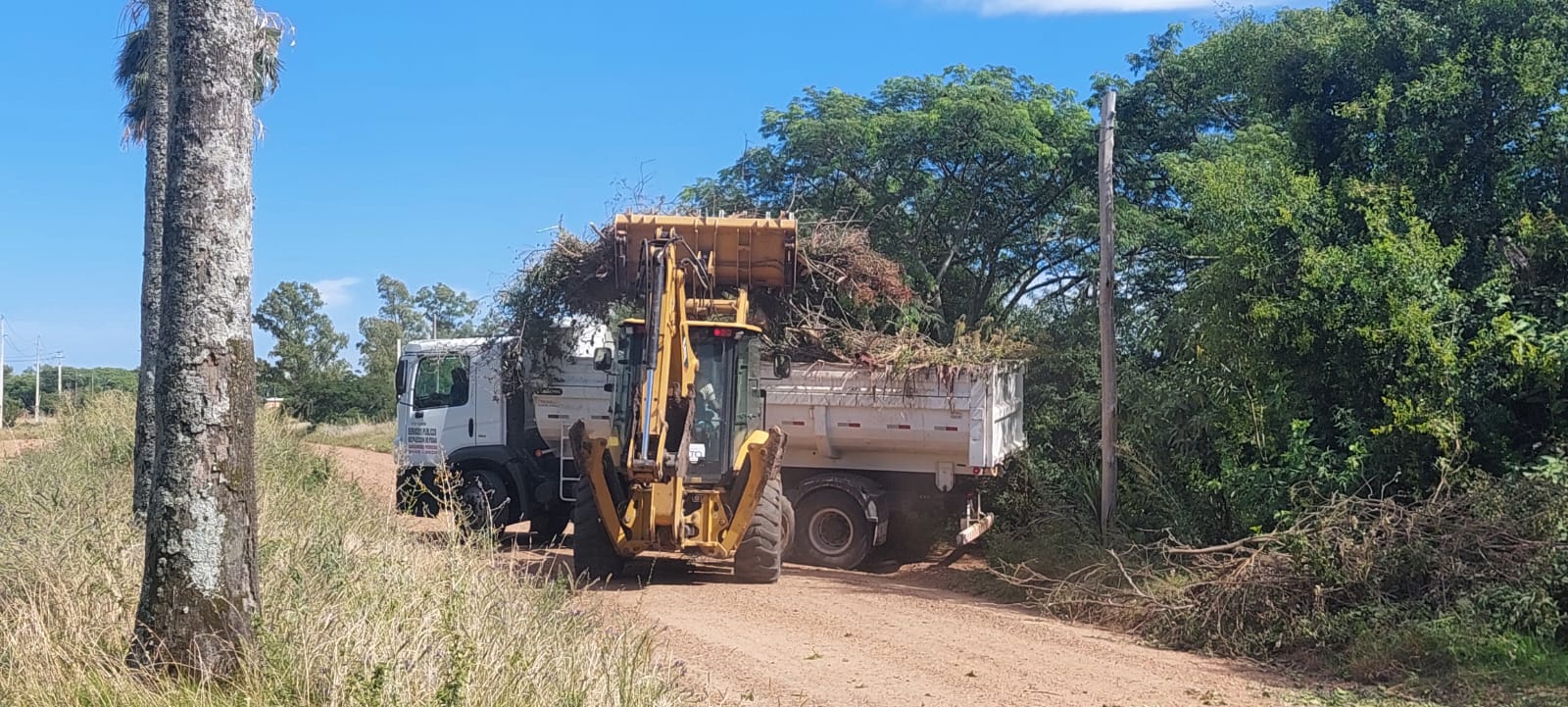 Recolección de restos de podas este jueves en Arenitas Blancas y Villa Maguey Recolección de restos de podas este jueves en Arenitas Blancas y Villa Maguey