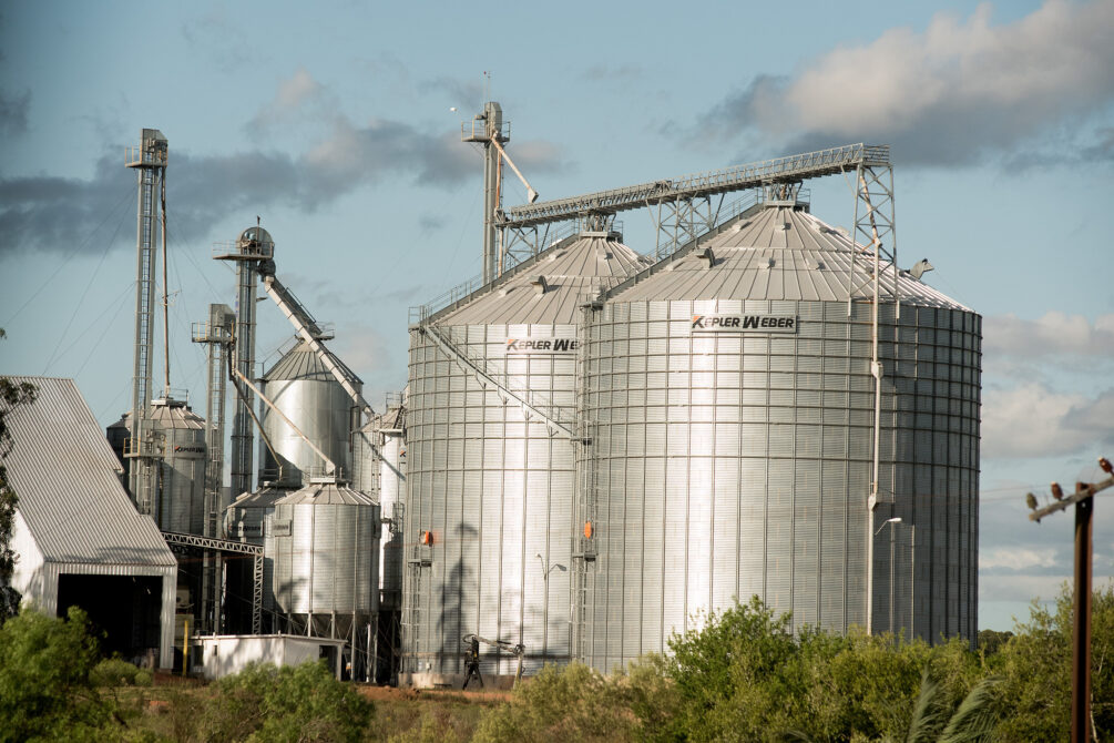 Uruguay obtuvo el 63% de la cuota de arroz que la UE otorgó al Mercosur Uruguay obtuvo el 63% de la cuota de arroz que la UE otorgó al Mercosur