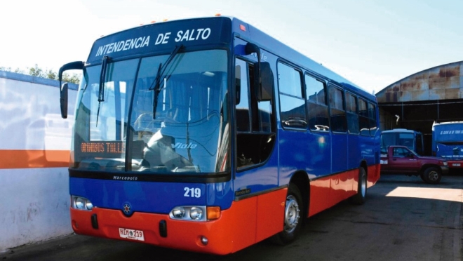 SERVICIO URBANO DE TRANSPORTE COLECTIVO