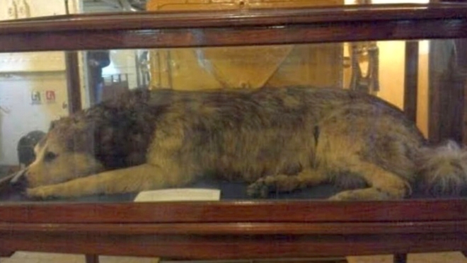 Publicación de Datos Históricos: “Lampazo”