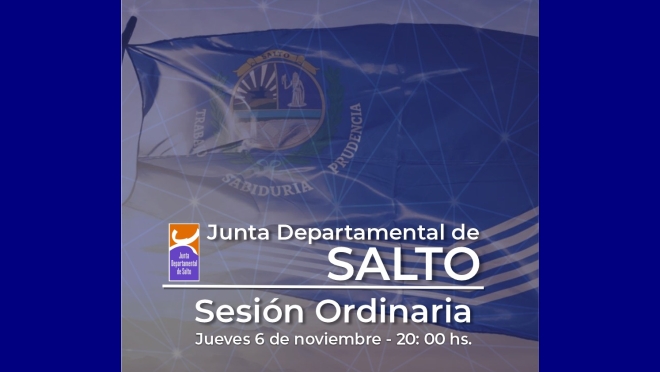 JUNTA DEPARTAMENTAL DE SALTO:  9ª SESIÓN ORDINARIA ACTA Nº.15